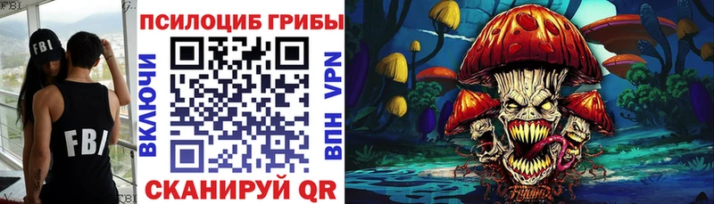 Галлюциногенные грибы Psilocybe  Бутурлиновка 