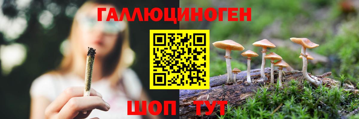Псилоцибиновые грибы Cubensis Бутурлиновка