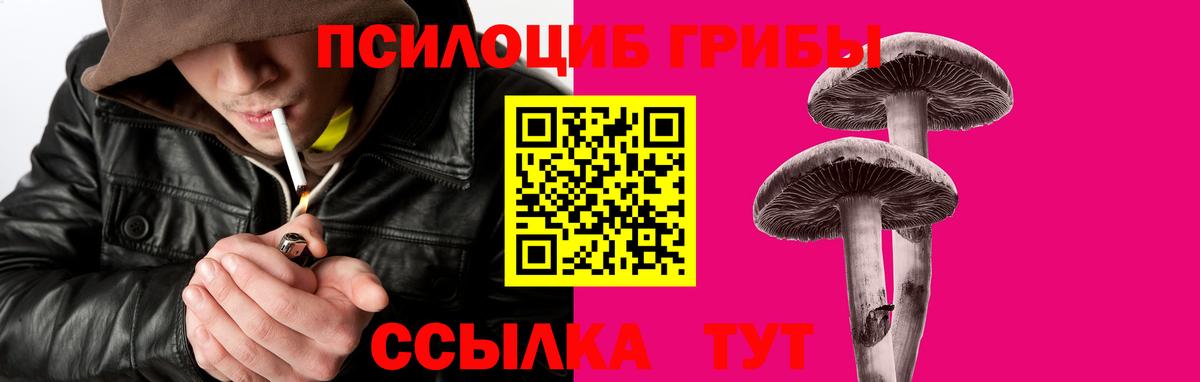 Псилоцибиновые грибы ЛСД  Вход с VPN  Псилоцибиновые грибы GOLDEN TEACHER  Бутурлиновка 